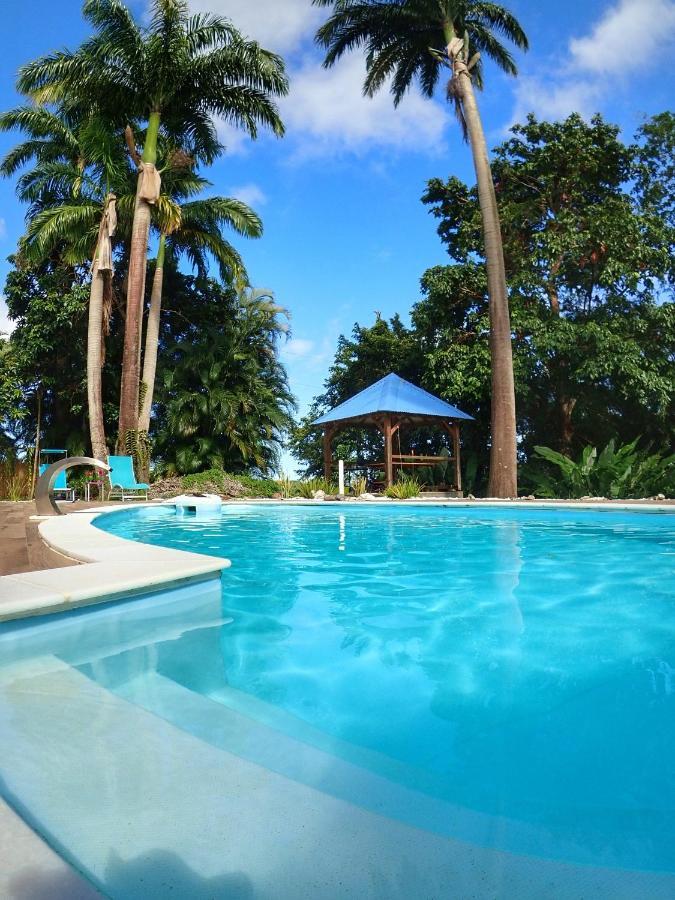 Gite Kaz A Topaze, Piscine, Jardin Tropical Сент-Роз Екстер'єр фото