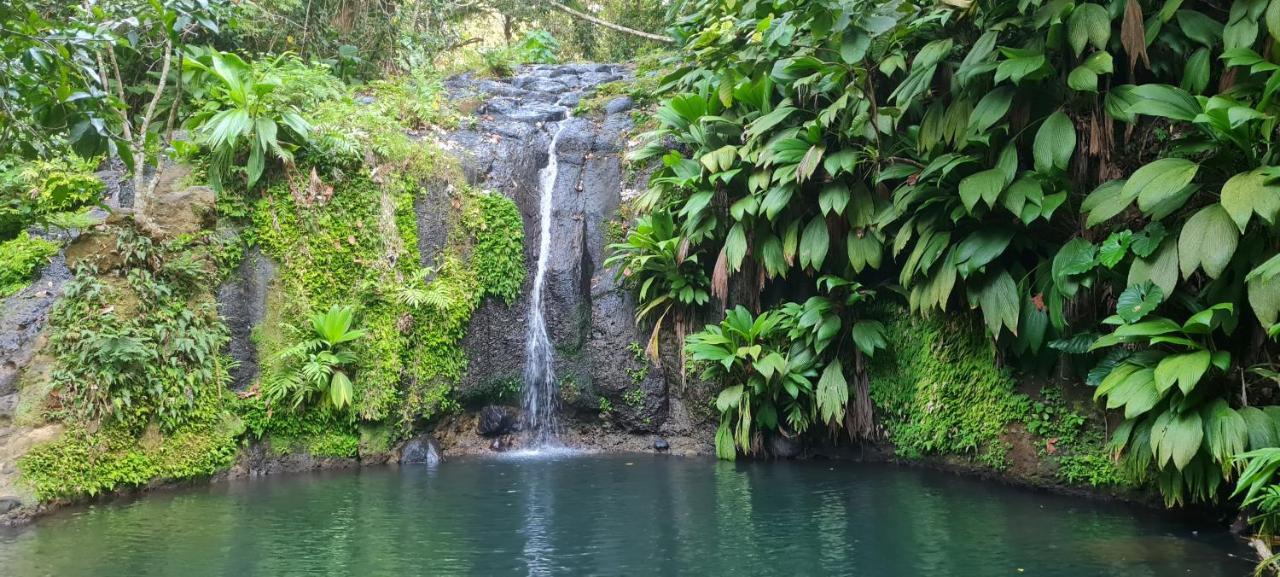 Gite Kaz A Topaze, Piscine, Jardin Tropical Сент-Роз Екстер'єр фото