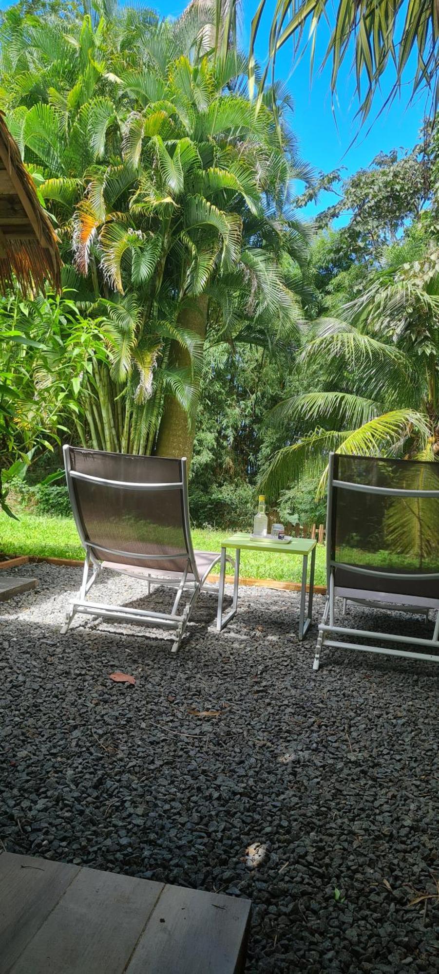 Gite Kaz A Topaze, Piscine, Jardin Tropical Сент-Роз Екстер'єр фото