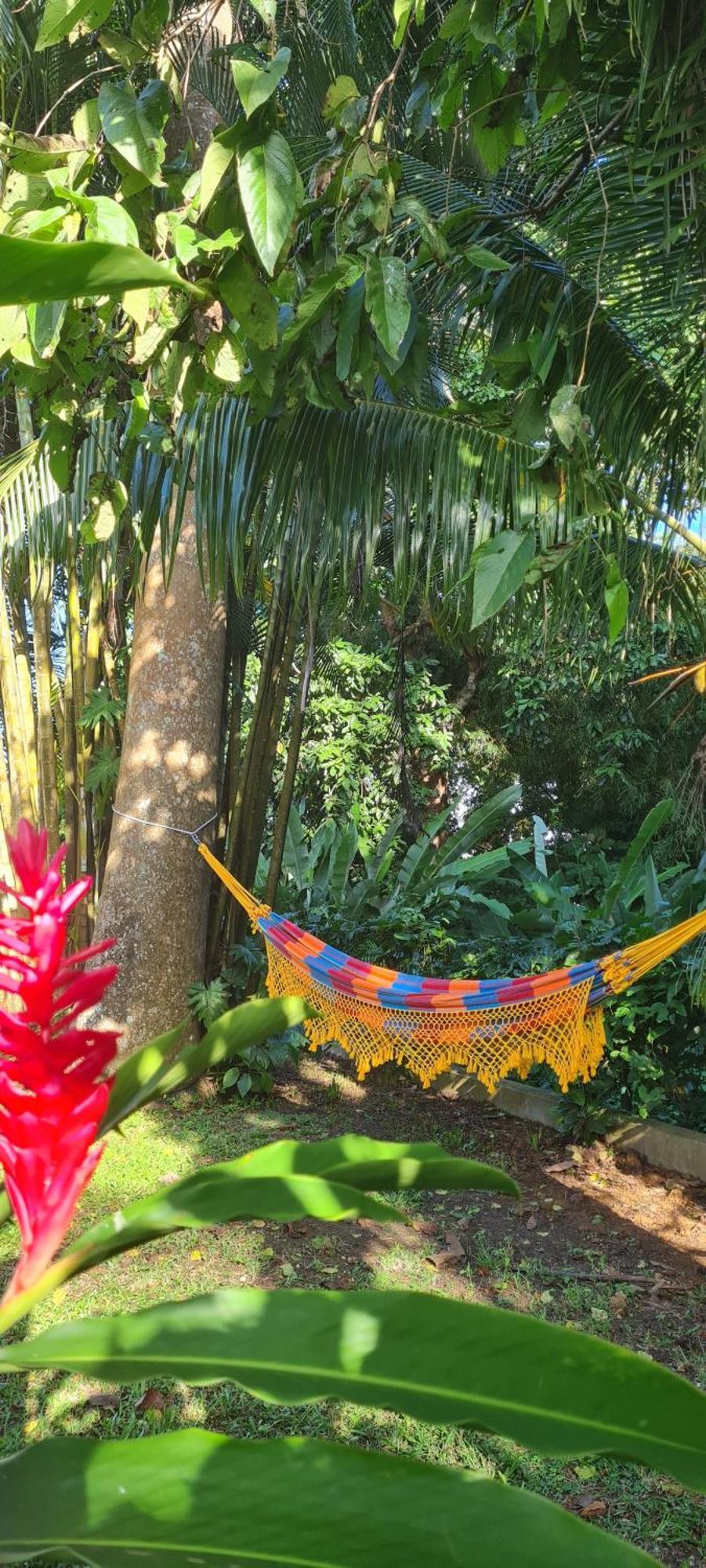 Gite Kaz A Topaze, Piscine, Jardin Tropical Сент-Роз Екстер'єр фото